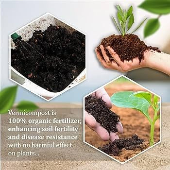 Organic Vermicompost 400gm